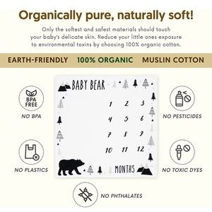 Baby monthly milestone blanket